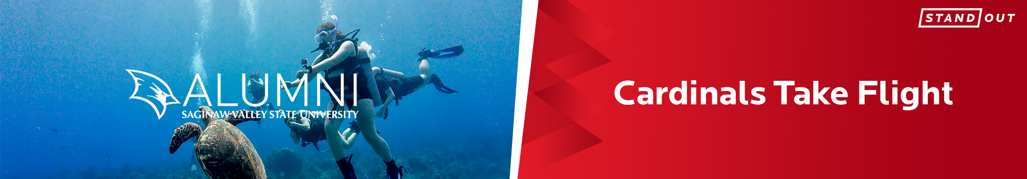Cardinals Take Flight with a photo of a student snorkeling with a sea turtle